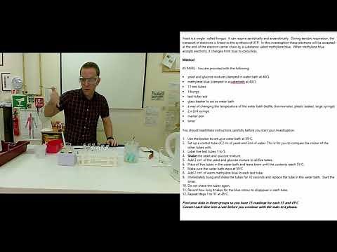 A Level Biology - Required Practical 9 Yeast and Respiration - Practical Demonstration