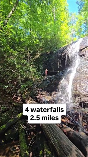 4 Waterfalls in 2.5 miles: Pisgah Forest, Brevard, NC #kiddingaroundgreenville #waterfall