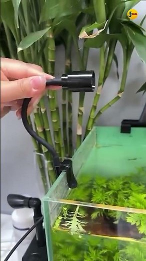 Aquarium spot light making your aquarium unique