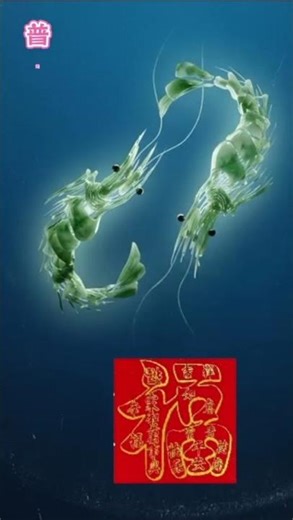 보원교수의 해하도 AI 멜로디는 과연 어떤 감동을 주는가? 普元教授《海虾图》的AI音乐旋律，究竟传递出怎样的情感与艺术感动？ #보원교수#제미나이#gemini #普元 #普元教授