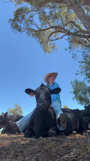 Cows Love Music: Heartwarming Moments with Miss Moo
