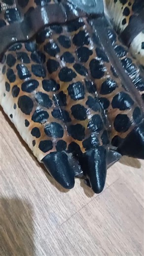 Handmade Predator Feet and Hands for Cosplay