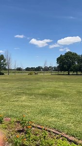 51K views · 1.2K reactions | 3 Mistakes people make when Buying Vacant Land | The Land Point | Facebook