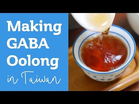 Making GABA OOLONG TEA in Taiwan