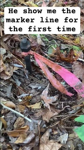 The marker line of the property #markers #line #woods #property #walking