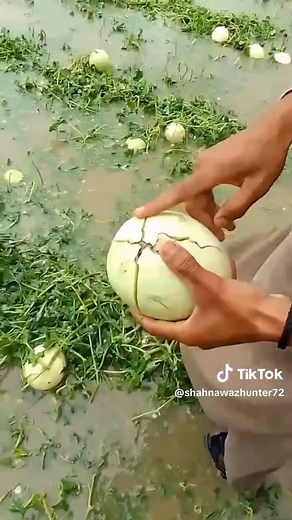 🔘🌷Alia 💐Khan 🏵and 💔 (@shahnawazhunter72)’s videos with Jagah Ji Lagane Ki Duniya Nahin Hai - Muhammad Mushtaq Qadri Attari