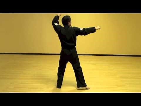 Wan Hyo (Step-By-Step) - Tae Kwon Do Pattern
