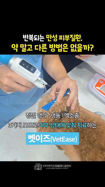 강아지 고양이 만성 피부질환 치료의 선택지가 넓어집니다 #벳이즈 #강아지아토피 #고양이탈모 #구내염치료