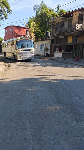 4.1K views · 182 reactions | Vámonos a la paz baja California sur en enero aver la ballena en el Dina olimpico 5538158691 @ | Bos Autobuses | Facebook