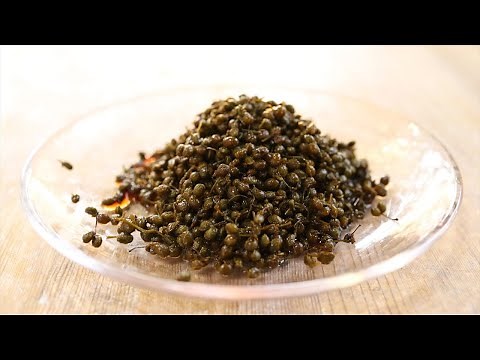 実山椒の佃煮の作り方・レシピ｜Coris cooking