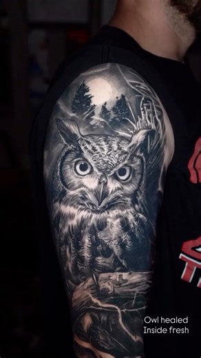 2K views · 91 reactions | Owl healed! Inside fresh Text (440) 299-7481 or visit JakeRossTattoos.com to send a request!  Mentor, Ohio | Jake Ross | Facebook