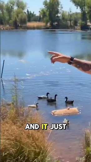 Wolf of Walmart Found the Perfect Swamp to Test the FluxJet Kayak