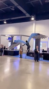 7.9M views · 85K reactions | Is this the end of walking? I just saw this footage of a Shapeshifting Nano-Bot Swarm in action. It literally morphs into wings while he’s sprinting! Would you trust this tech at 100ft up? Let me know below! AI video concept. #FutureTech #NanoBots #Innovation #TechExpo2026 #FlightMode #Sora | AI Hyper Lab | Facebook