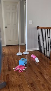 Watch me working on those beautiful columns for a baby shower 🥰🥰🥰 #balloons #balloonartist #balloonart #balloonpartyideas #ballooncolumns #balloonsforbabyshower #babyshowerdecor #babyshowerdecorations #babyshowerdecor | Berry Party Co.