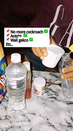 Use this hack to eliminate cockroaches, ants, wall gecko etc… from your home #fypageシ #diyideas #hack | Coach Priscillia Edurhi