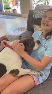 752 reactions · 27 comments | Adopt Fiona! the 55lb snuggle queen! ...