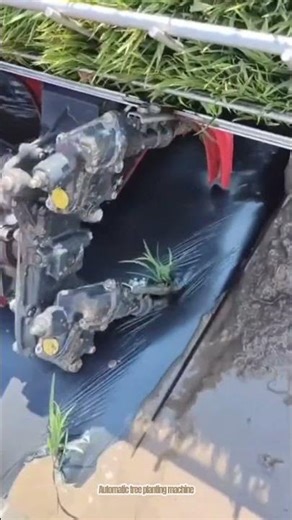 Automatic tree planting machine