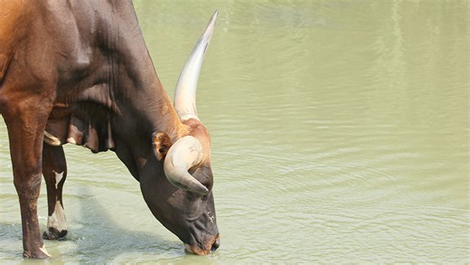 Futures Rise; AI Disruption Fears Slam These Stocks