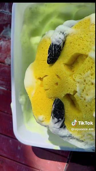 Enjoy Minty Squeeze ASMR with a Cute Sponge