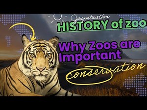 History of zoos: why zoos are important to conservation efforts