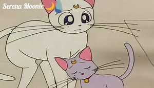 239K views · 10K reactions | Luna celosa xD un malentendido entre Luna y Artemis  Únete al grupo oficial de esta página n.n ❤️ Sailor Moon Crystal Capítulos (OFICIAL) ✌ ⭐ | Serena Moonie | Facebook