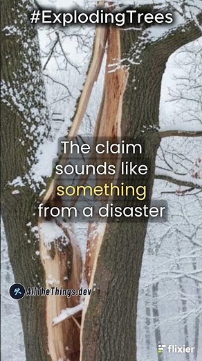 2. Exploding Trees in Winter: What's Behind the Loud Cracks During Extreme Cold