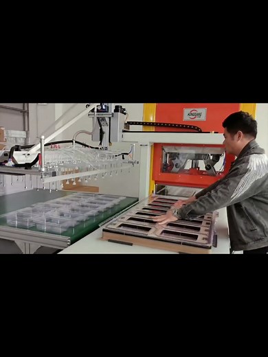 Full servo cutting machine with gantry robot picking up for clean room requirements.