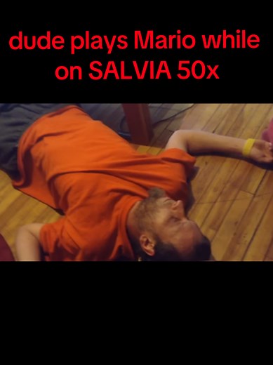 Super Mario Gameplay Experience on Salvia 50x