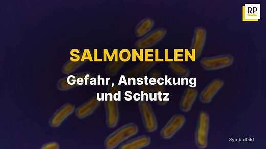 Salmonellen: Gefahr, Ansteckung und Schutz