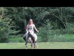 Pony Riding #pony #ponyriding #donkey #donkeyriding #Buffaloriding #sheepriding #cowriding #reiten