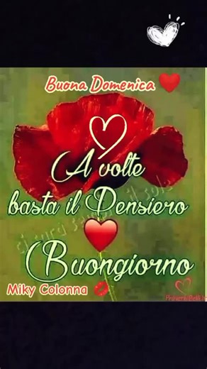 Relaxing Videos for a Good Sunday