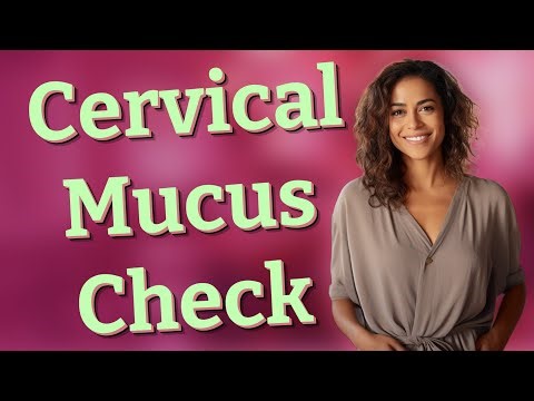 Can Checking Cervical Mucus Impact Vaginal Health?