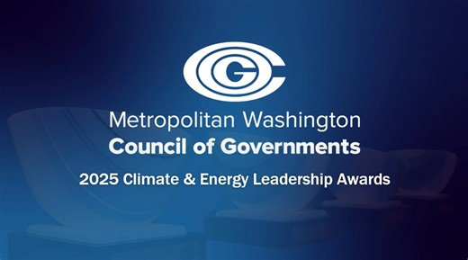2025 Climate & Energy Leadership Award Winners
