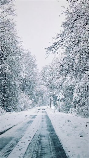 Heike 🤘🏼 Moodpath.diary ✨️🙌🏼 on Instagram: "❄️ Komm mit und sieh hin... ❄️✨️🙌🏼 #winterwonderland #jaybuchanan #mood #walking #snowwalk"