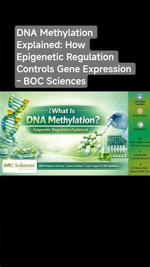#DNAMethylation #methylation #DNAmodification #epigenetics #DNA #RNA #generegulation