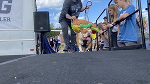 Butler hosts 23rd Bulldog Beauty Contest