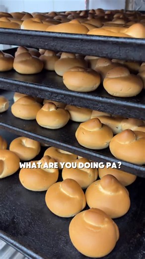 8.8K views · 2K reactions | Nonno Nino’s quality control process: one sample, two samples… maybe three, just to be sure. ‍ Our biscotti Di San Martino are to delicious to resist.  718-381-2292 312 Knickerbocker Ave, Brooklyn, NY  NATIONWIDE  shipping & same day local delivery #cookies #biscotti #italianbakery | Circo's Pastry Shop | Facebook