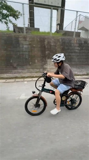Ghibli [Live-Action] I thought Tombo from Kiki's Delivery Service was going on a rampage on an el...