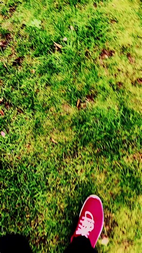 Speed Run - made with Syn-FX app #videoeffects #speededit #motionblur #synfxapp #speed