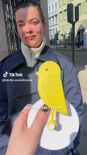 Ensure Healthy Air Quality with Birdie®