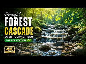 Peaceful Forest Little Cascade Over Rocky Stream for Relaxation
