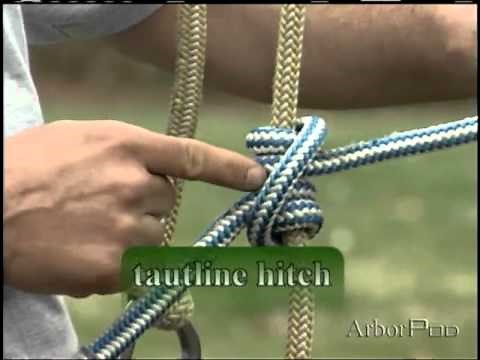 Tautline Hitch