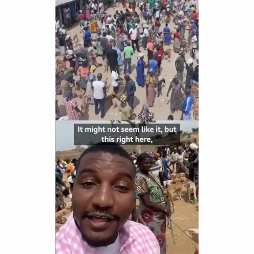 Zim Celebs on Instagram: "#ZCAfricanUpdates : Nigeria has been ranked as the third-highest consumer of dog meat globally, trailing only South Korea and Vietnam, according to the latest Dog Friendly Country Index. This ranking highlights a deeply entrenched cultural and economic trade that remains vibrant despite growing international scrutiny and local animal rights activism. In a report exploring the scale of this industry, the BBC visited some of Nigeria’s largest dog markets to uncover the dr