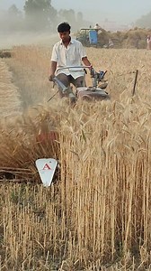 Fast crops cutting machine | Agriculture activities