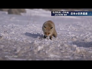 【4K】【特集】日本の世界遺産【2022年】