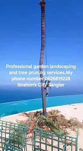 professional garden landscaping and tree pruning services