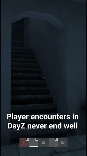 BSDude's player encounter in DayZ