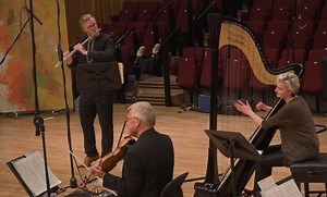 36K views · 76 reactions | Mozart's Concerto for Flute and Harp...