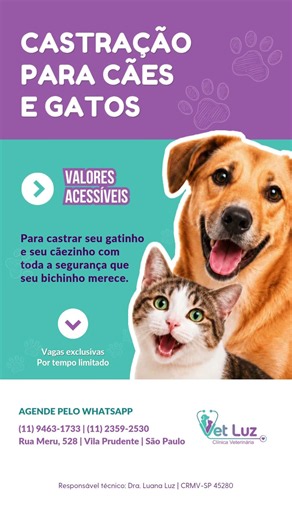 Castração de cães e gatos com valores acessíveis #veterinaria #castração