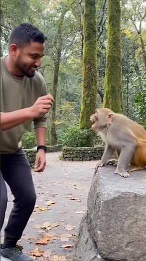 “When Teasing Goes Wrong 😂🐒 | Angry Monkey Reaction!”📌